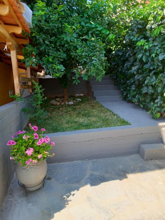 Apartment Garden