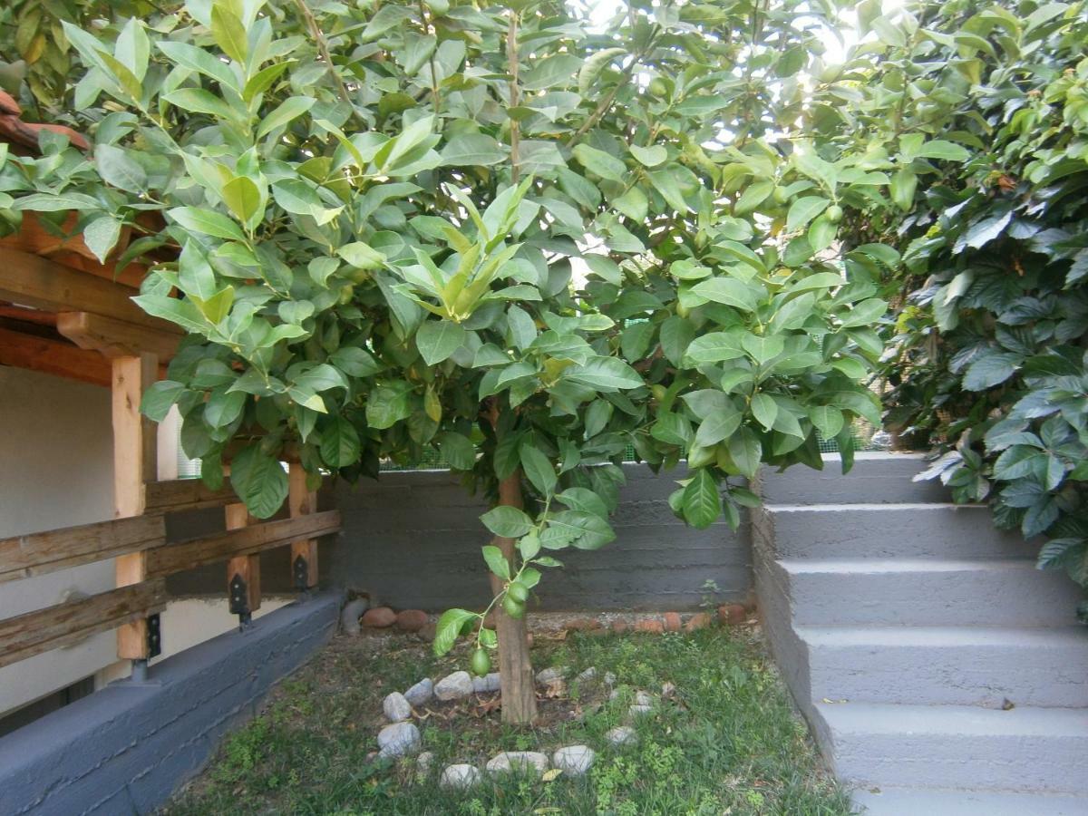 Garden Apartment